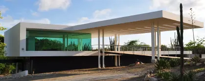 /Mongui_Maduro-Library_.jpg